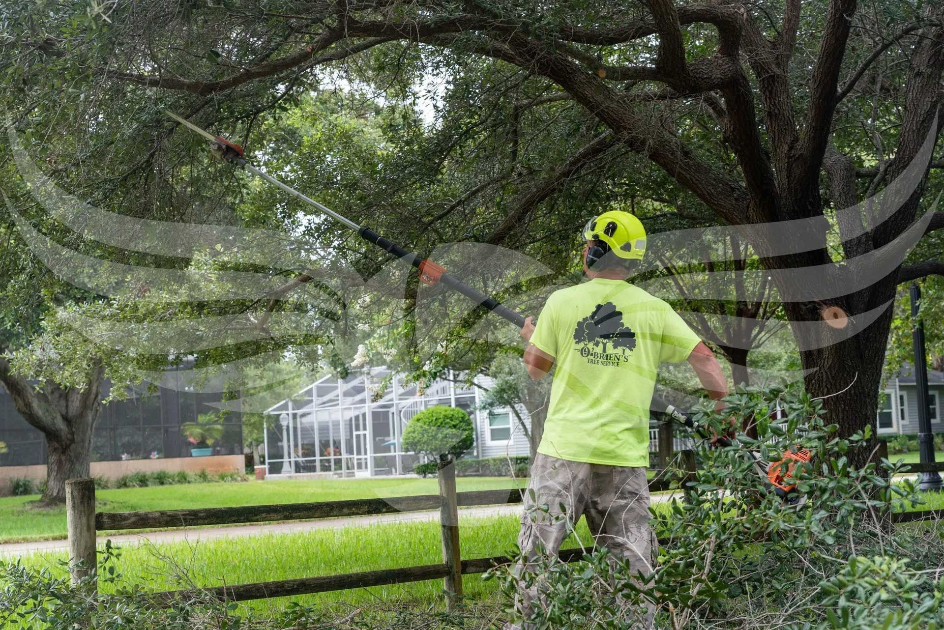 A man is cutting a tree with a chainsaw in a yard.