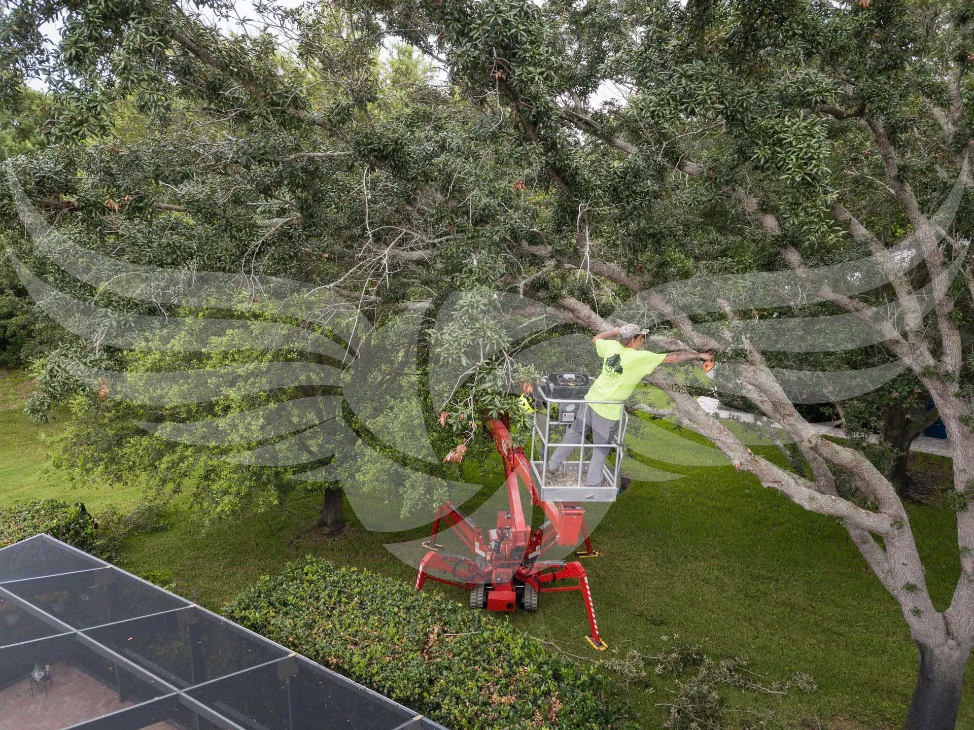 A man is cutting a tree with a crane in a backyard.