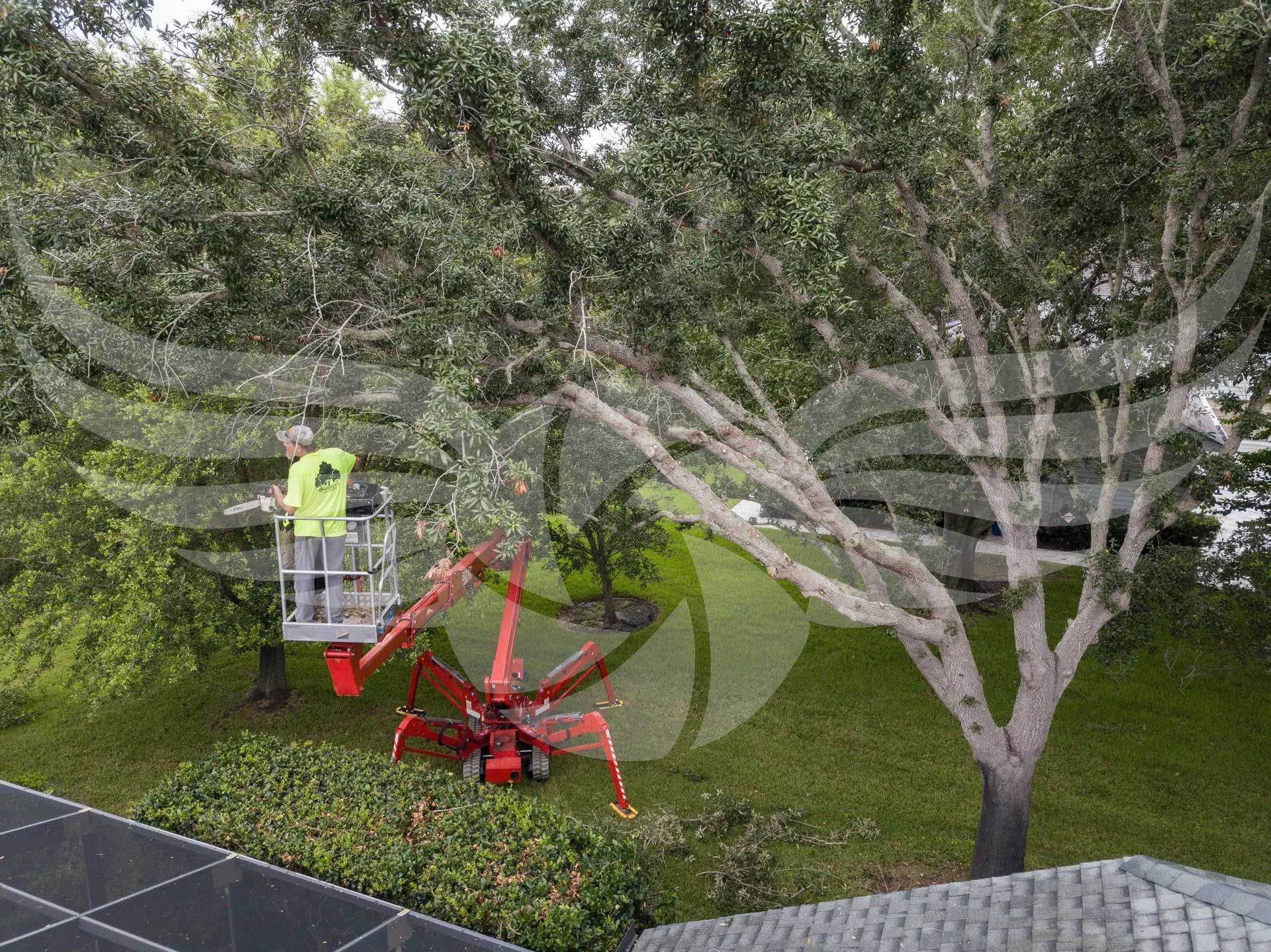 A man is cutting a tree with a crane.