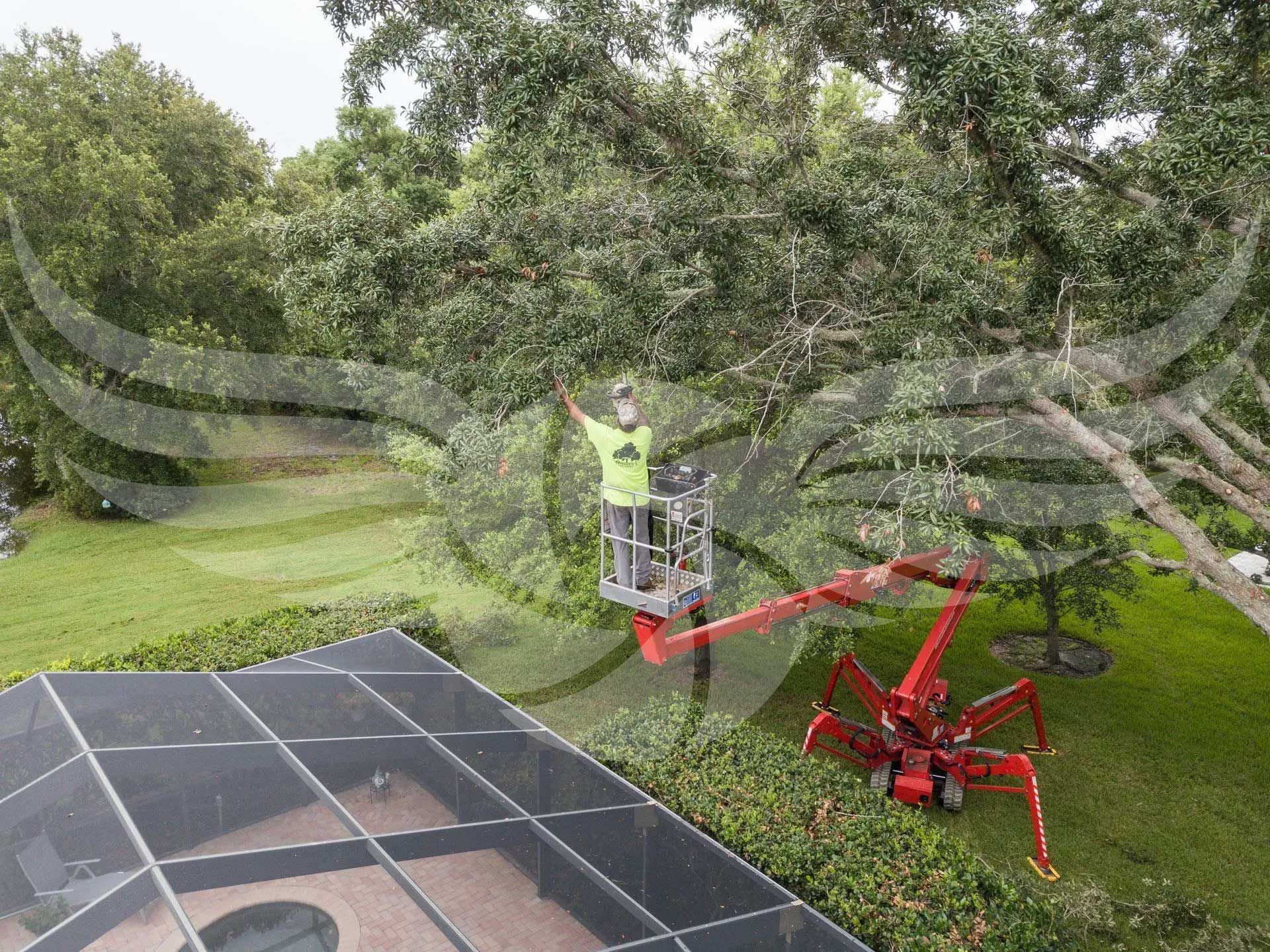 A man is standing on a lift cutting a tree.