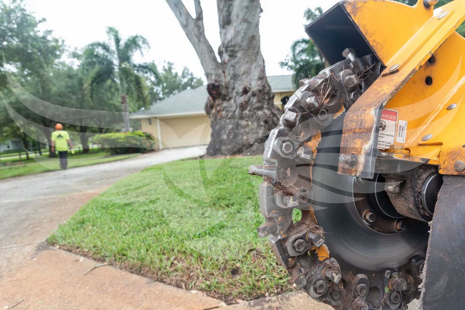 A tree stump grinder is being used to remove a tree stump from the ground.