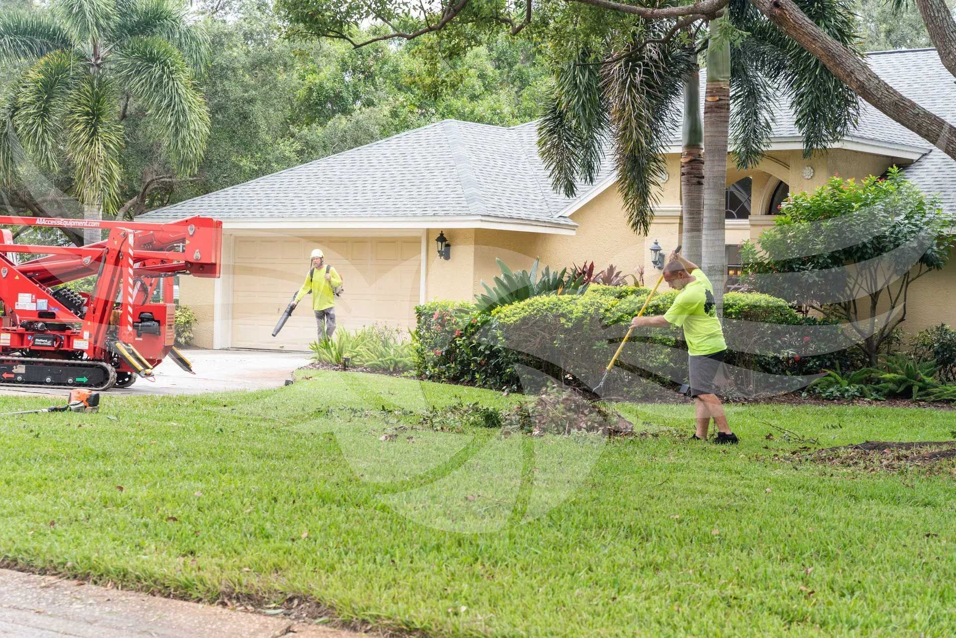 A man is raking the grass in front of a house.