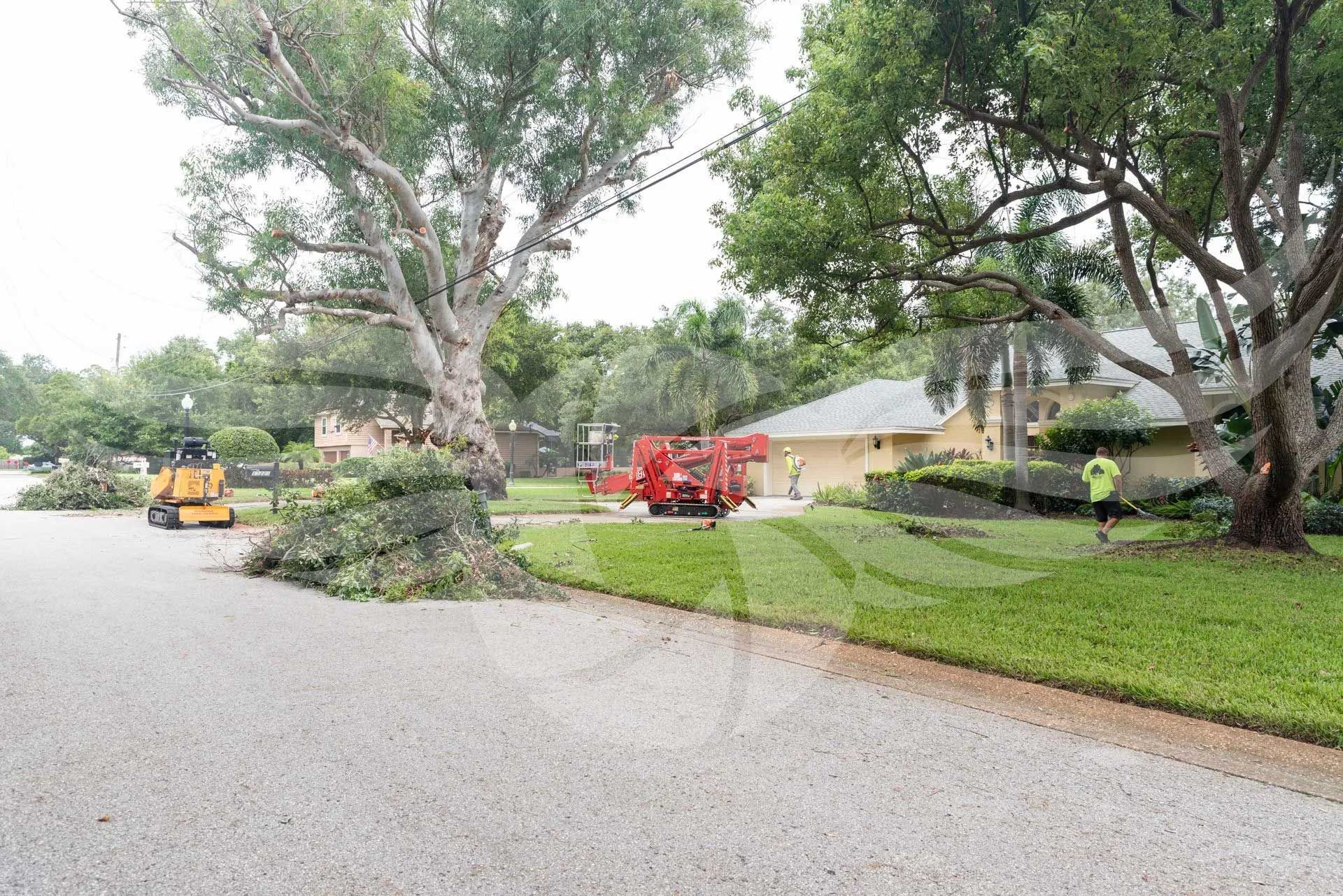 A lawn mower is cutting a tree in front of a house.