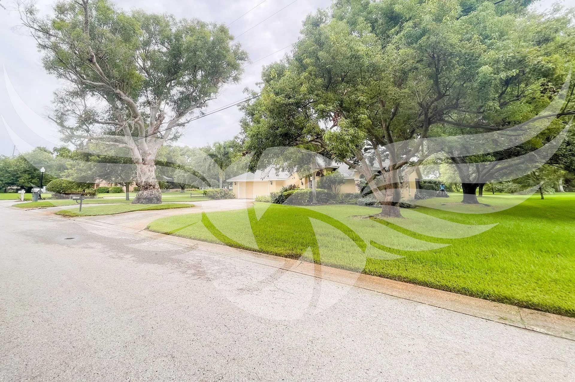 A driveway with trees on the side of it and a house in the background.