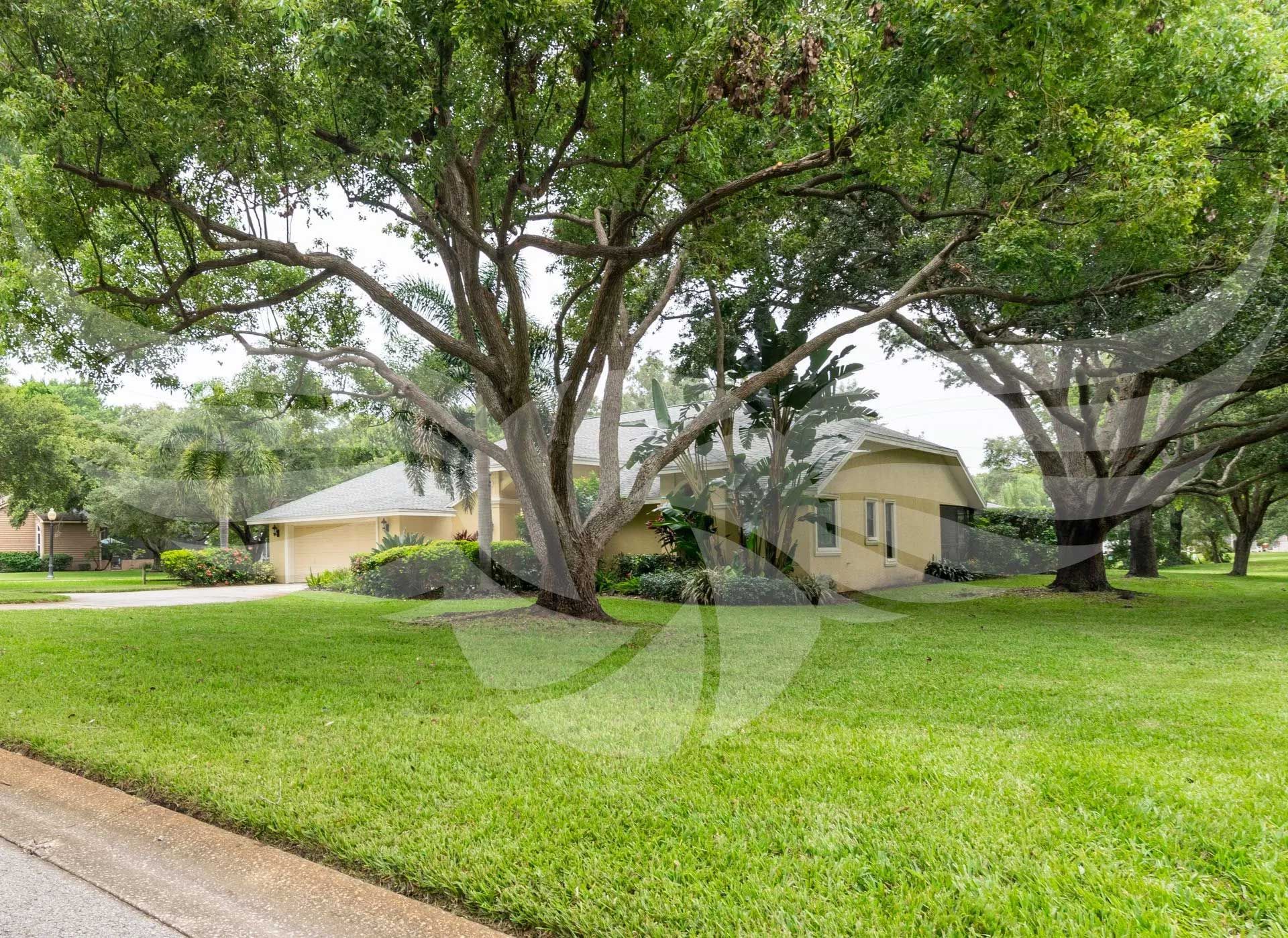 A house with a lush green lawn and trees in front of it.