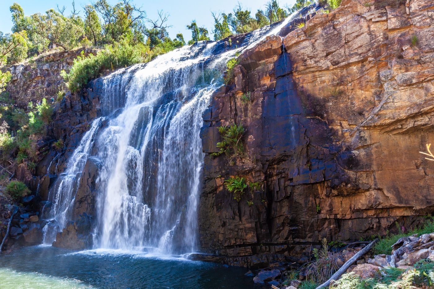 Foto McKenzie falls