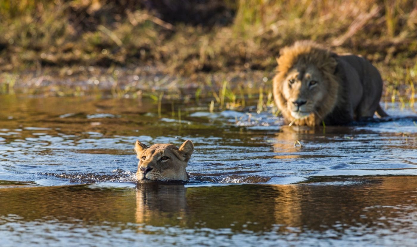 Foto Karen Mac-lean in Kenia