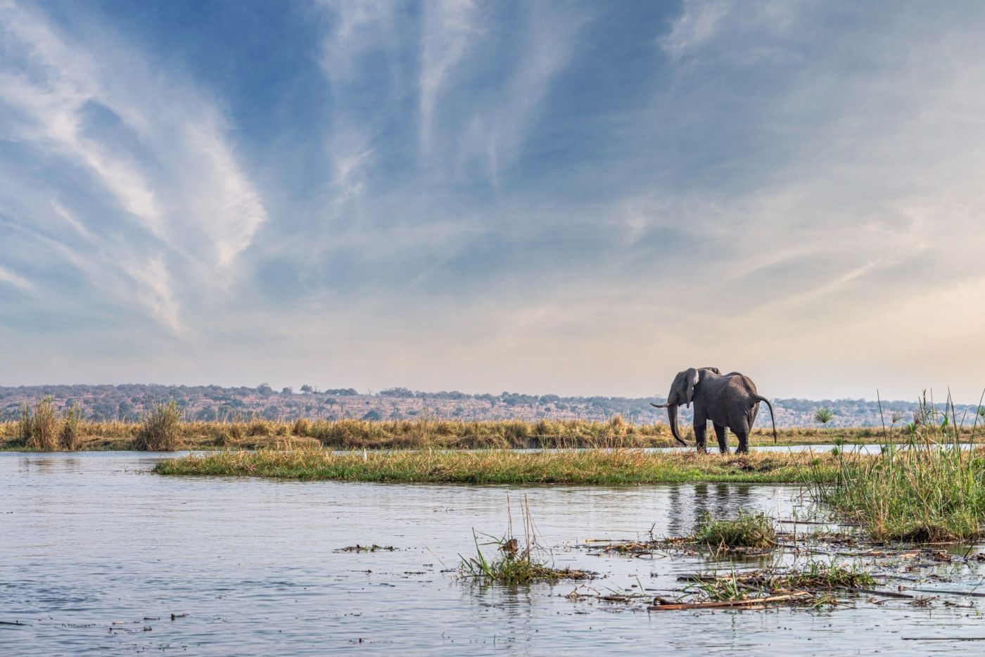 Link naar maatwerk reis voorbeeld Botswana