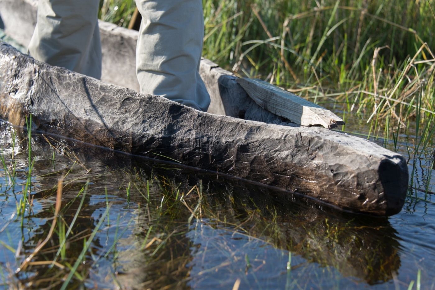 een persoon staat naast een boomstam in het water.