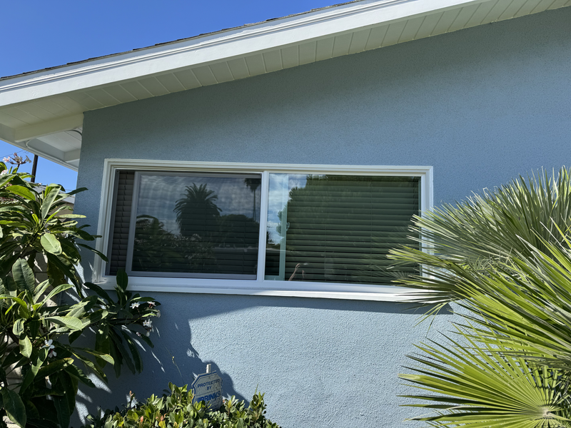 Single-story blue stucco house wall with a white-trimmed window and palm plants in front.