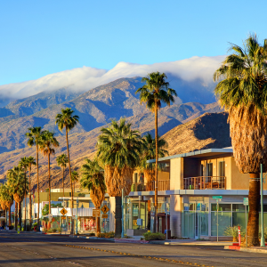 Palm-lined street with modern storefronts and snow-capped mountains in the background at sunset