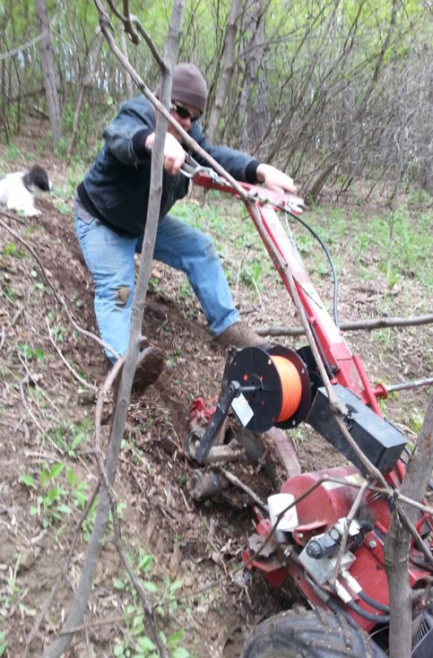 A person in work clothes uses a red walk-behind trencher to cut a narrow path through a wooded area while a dog watches.