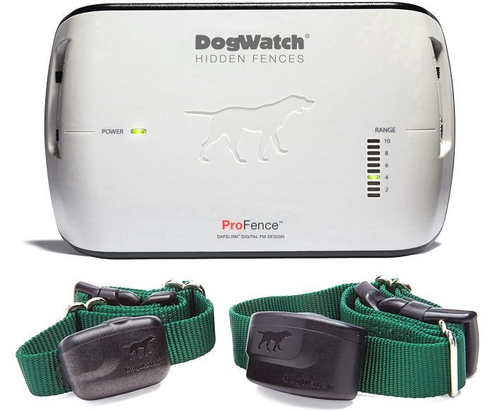 A dog watch profence device with two collars attached to it