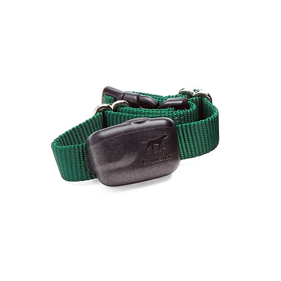 A green dog collar featuring a black electronic training or containment device module attached to the strap.