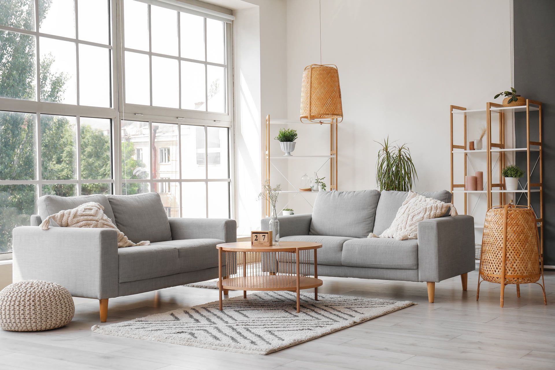Living Room Windows