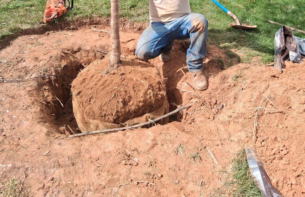 Workers digging a large trench in red soil, moving a buried cylindrical object with a rope and shovel.