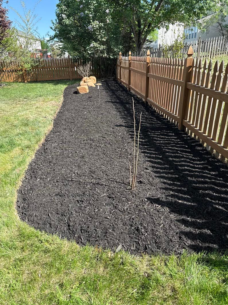 Backyard garden bed with black mulch along a wooden fence and a small dog lying near the far end