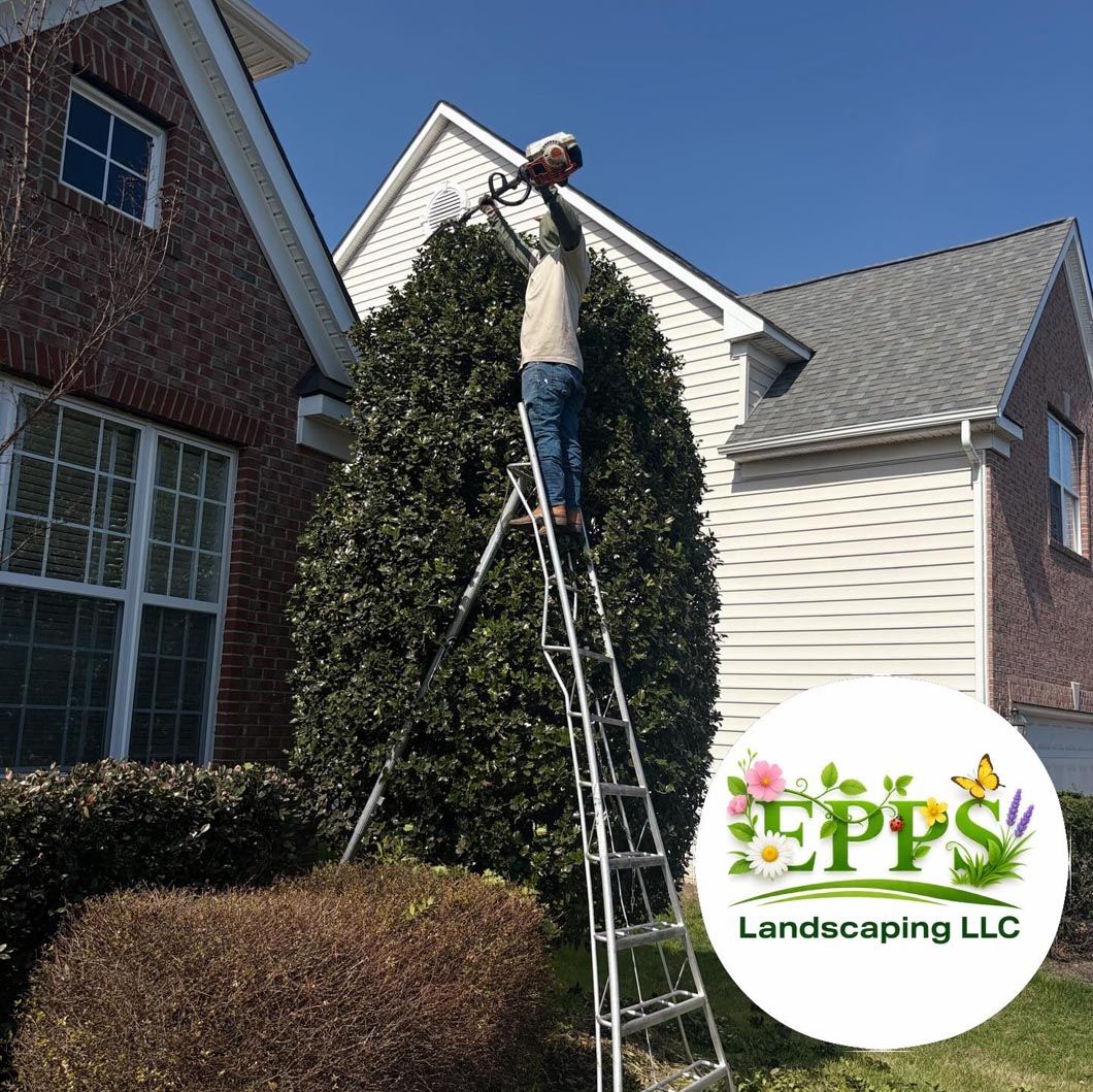 Worker on ladder trimming tall hedge beside a house, with PPS Landscaping LLC logo.