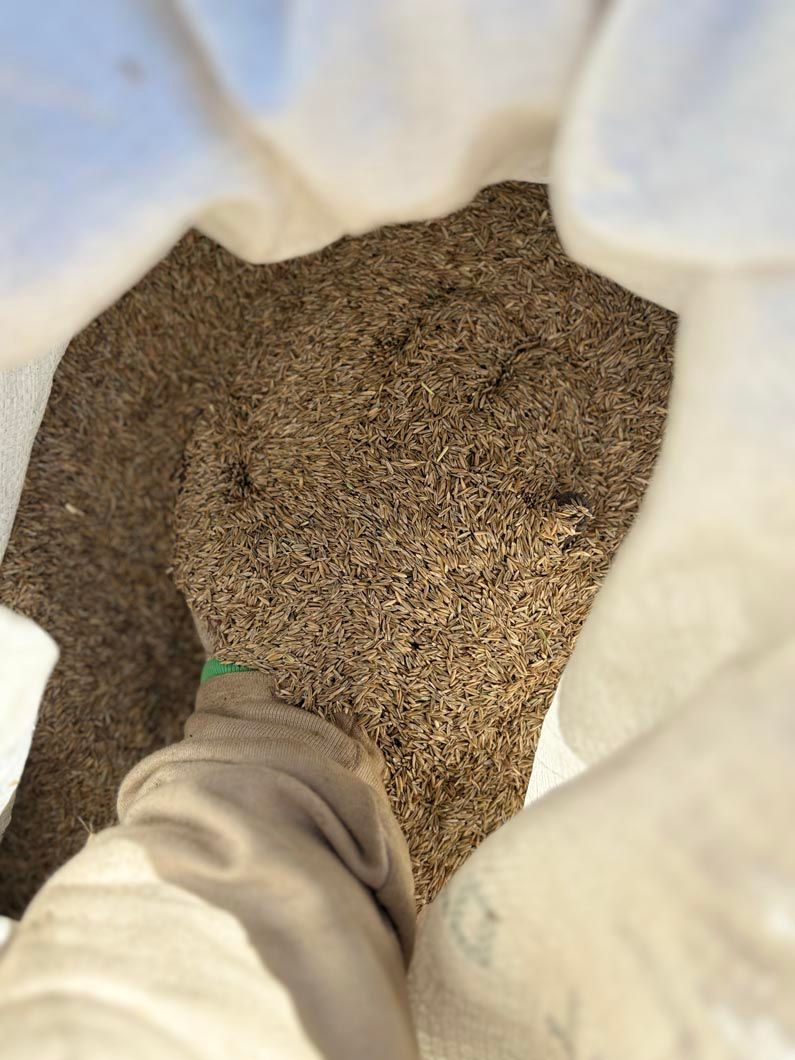 Looking down at a person’s leg in tan pants on a speckled carpet, framed by white fabric.