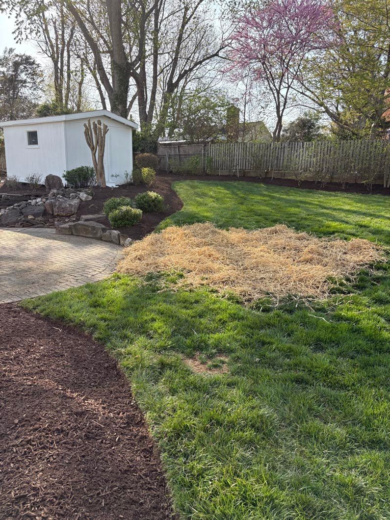 Landscaped backyard with grass, mulch beds, trees, and a small white shed at left.