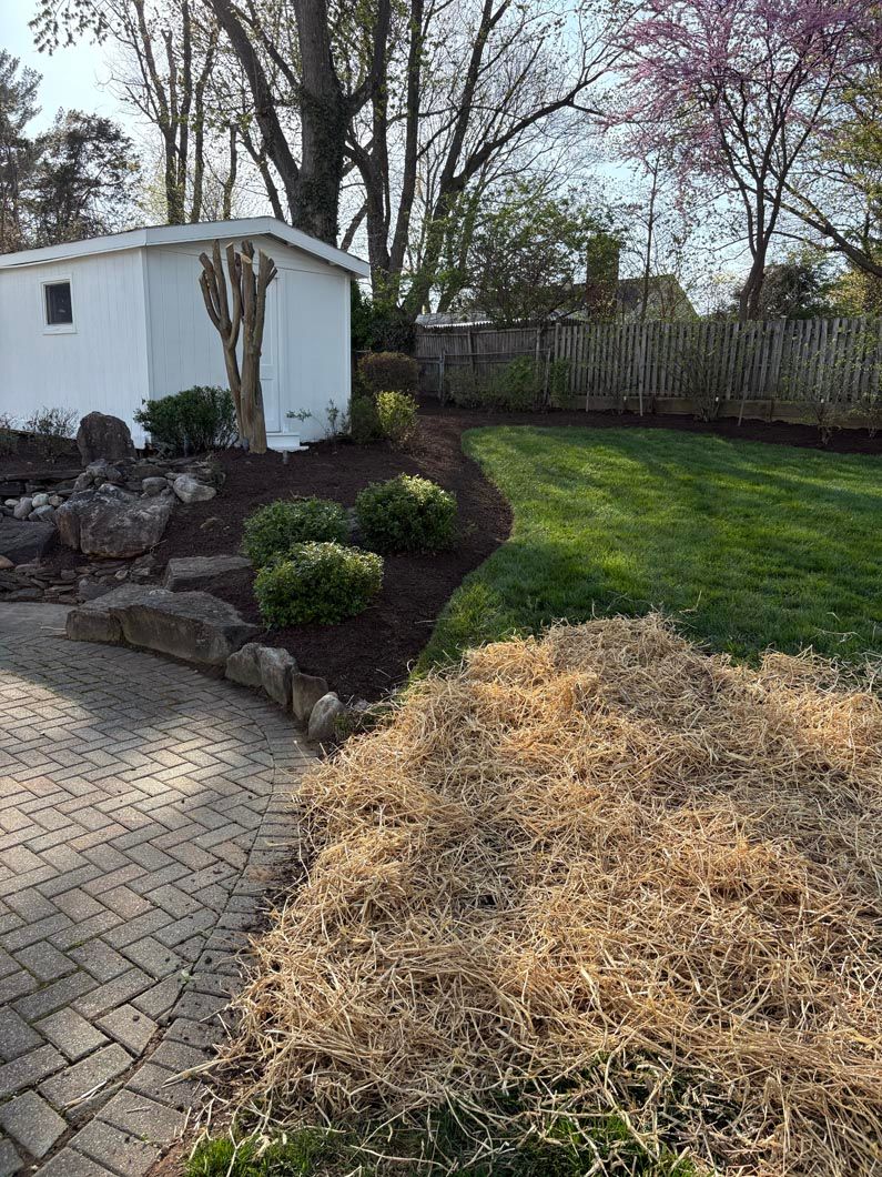 Backyard garden with stone patio, white shed, mulched beds, and a straw-covered mound under bare trees.