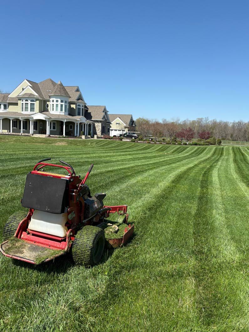 Red riding lawn mower cutting stripes on a green lawn beside a large house under a clear blue sky
