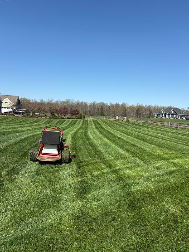 Red lawn mower cutting striped green grass in a field under a clear blue sky