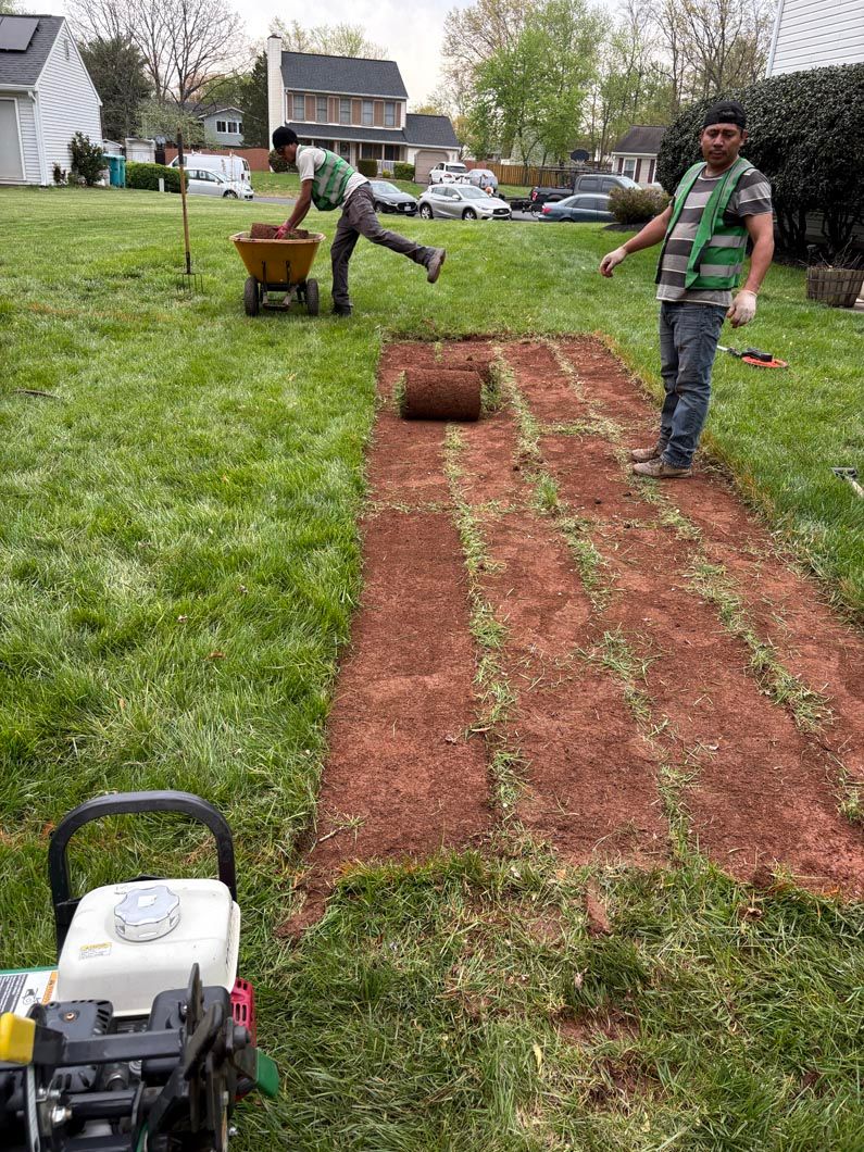 People grading a yard with red soil strips and a wheelbarrow, with a machine in the foreground.