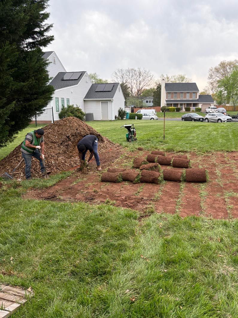 Workers stacking rolled sod on a lawn beside houses on a cloudy day