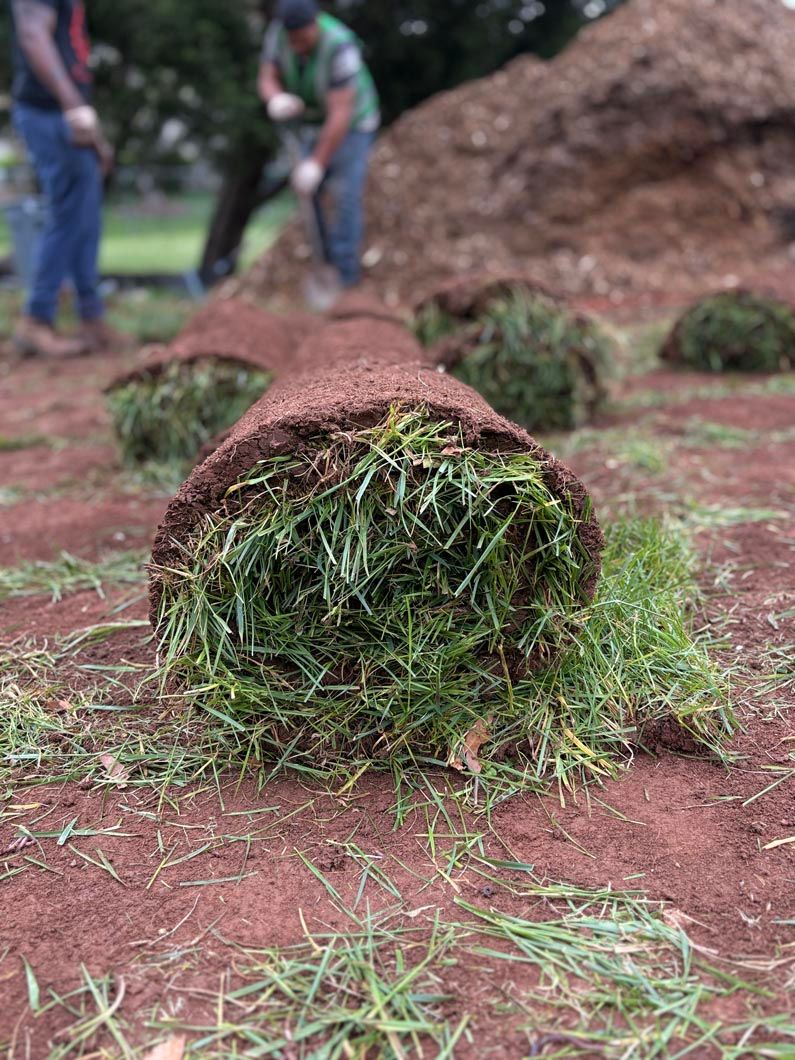 Freshly cut grass rolled into a cylindrical bale on red dirt, with workers blurred in the background