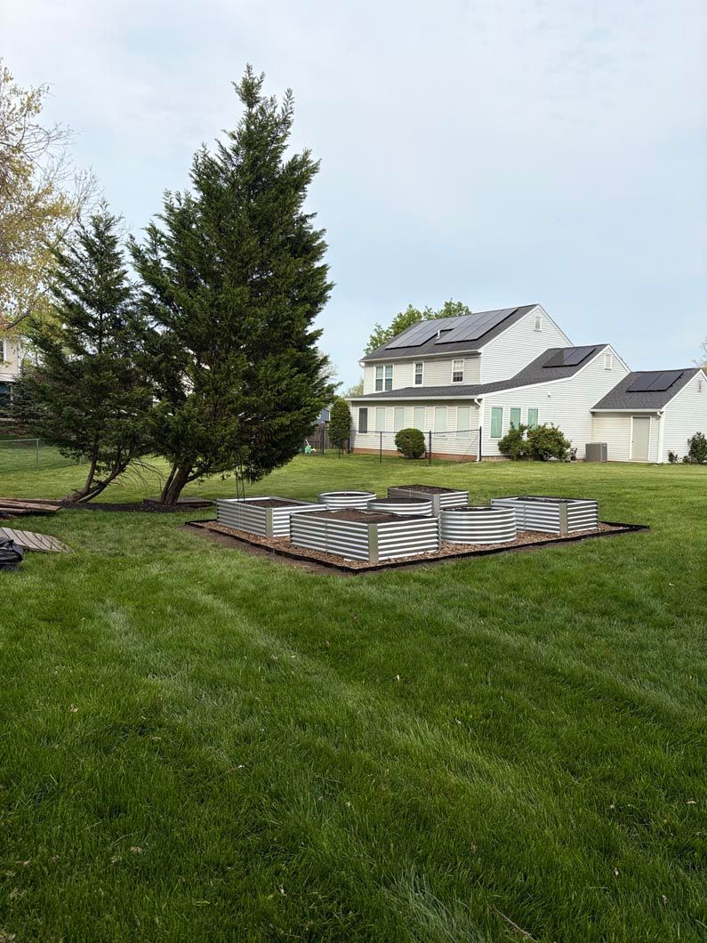 Backyard lawn with raised garden beds, trees, and a white house in the background