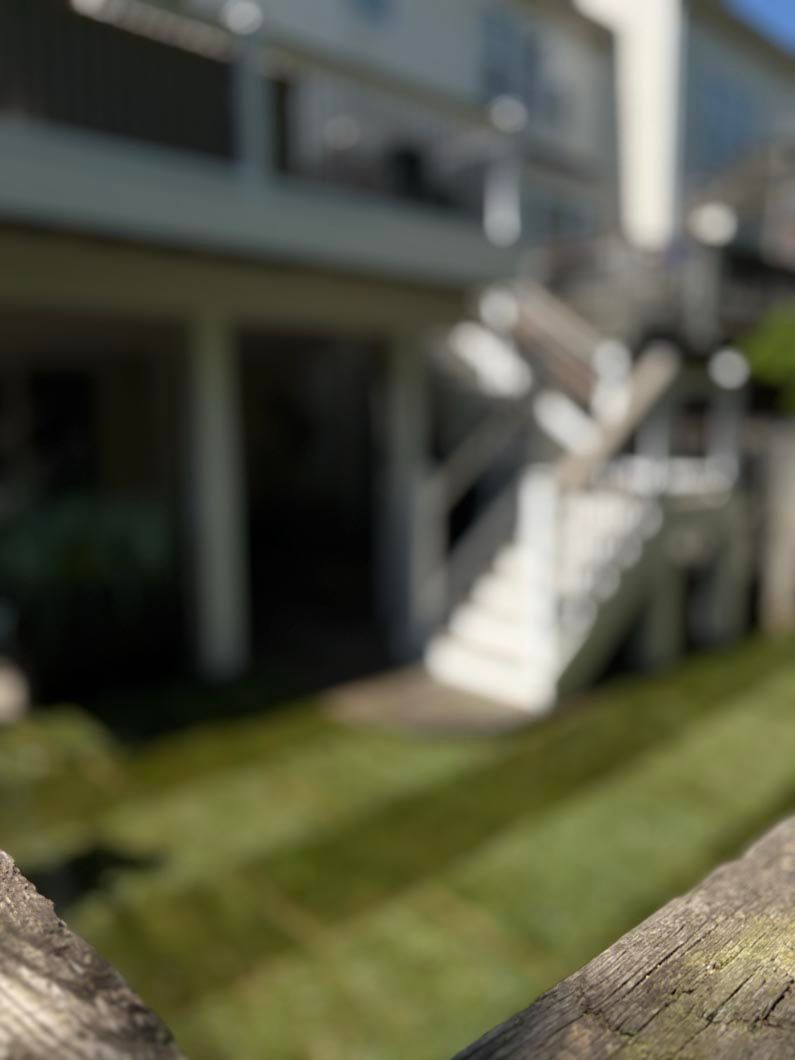 Blurred backyard deck and white stairs beside a green lawn, viewed from behind a wooden fence.