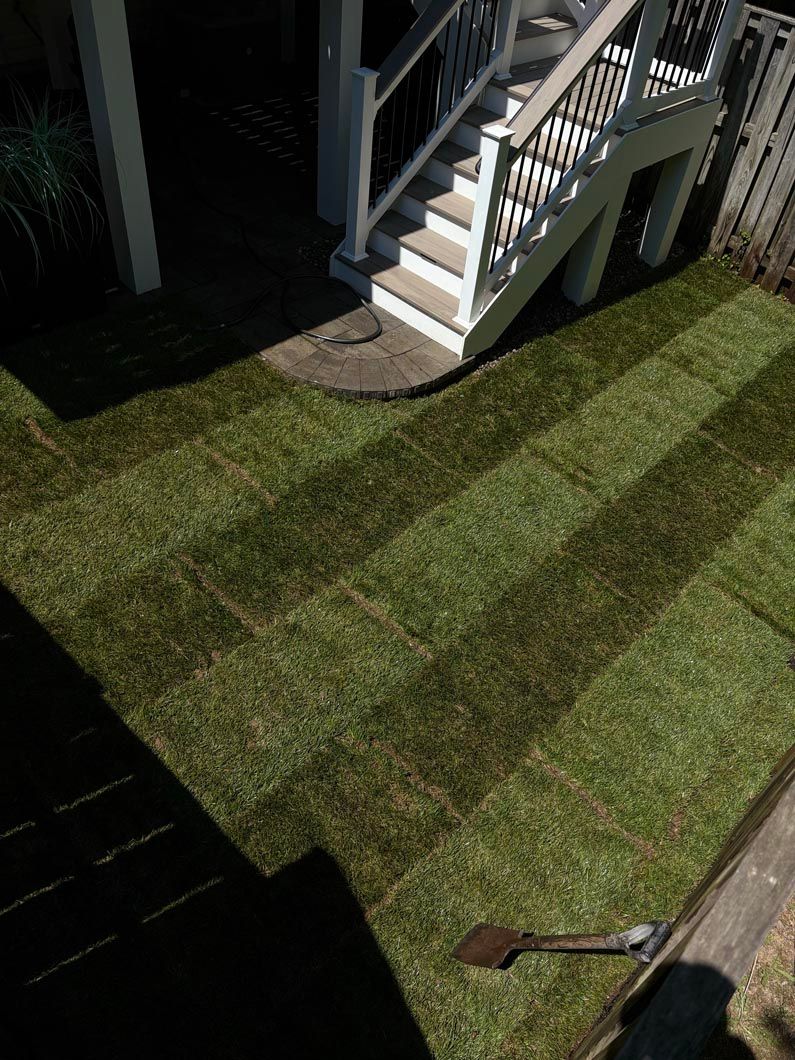 Grassy yard with diagonal mower stripes beside a porch and stairs, with a garden tool on the lawn.
