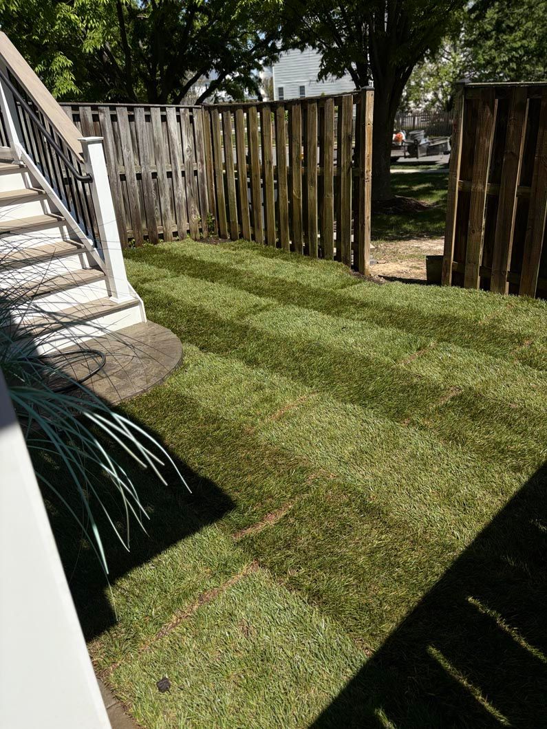Backyard lawn beside a white stairway and wooden fence in dappled sunlight