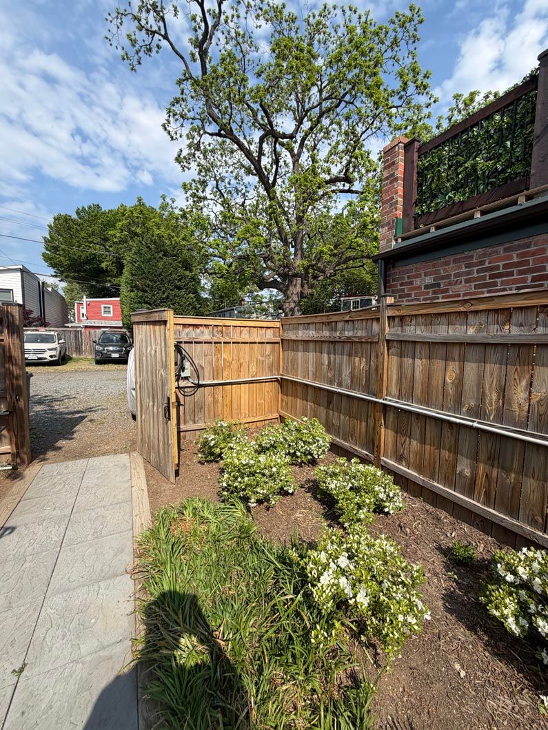 Narrow side yard with wooden fence, shrubs, and a sidewalk beside brick buildings under a blue sky
