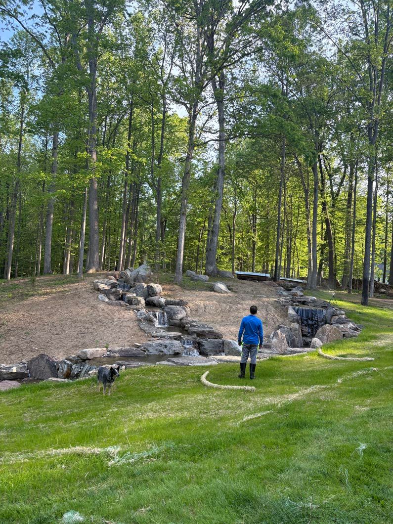 A person in a blue jacket stands on grass near a small rocky waterfall in a wooded park.