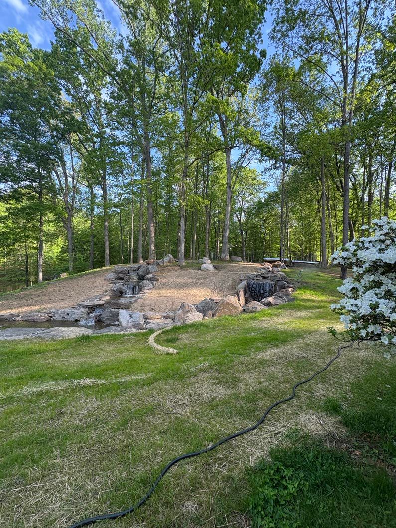 Stone fire pit in a grassy clearing surrounded by tall green trees under a blue sky.