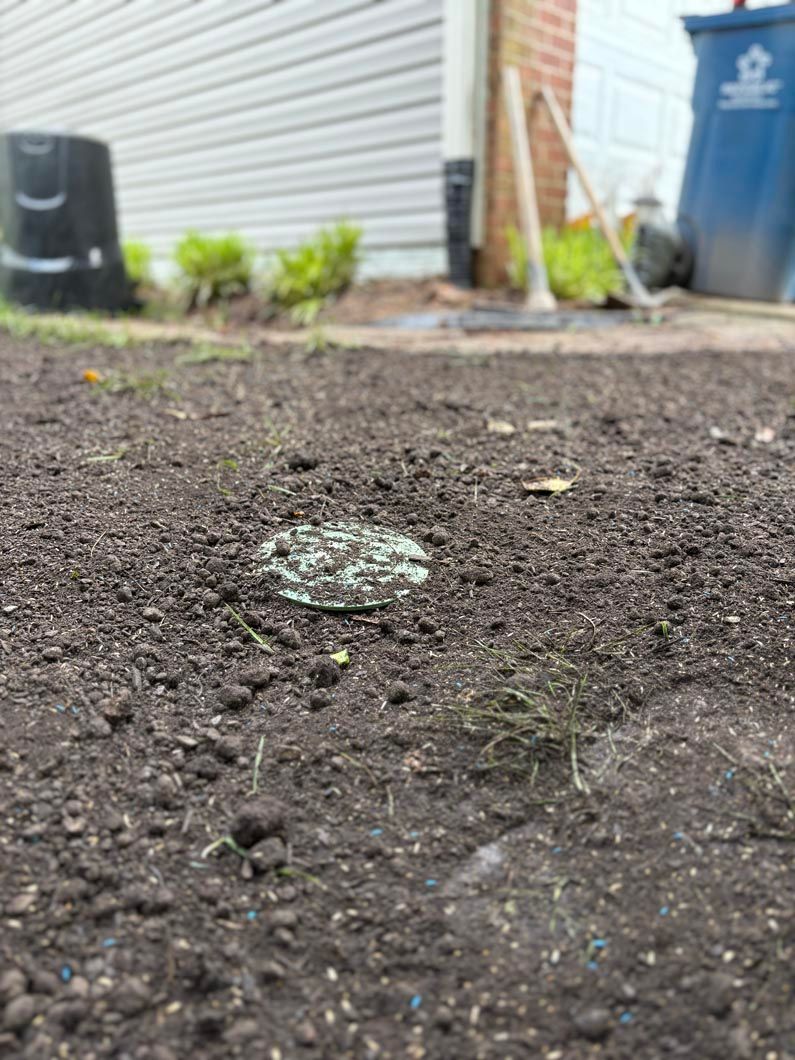 Small green frog on dark soil near a white garage and blue trash bin.