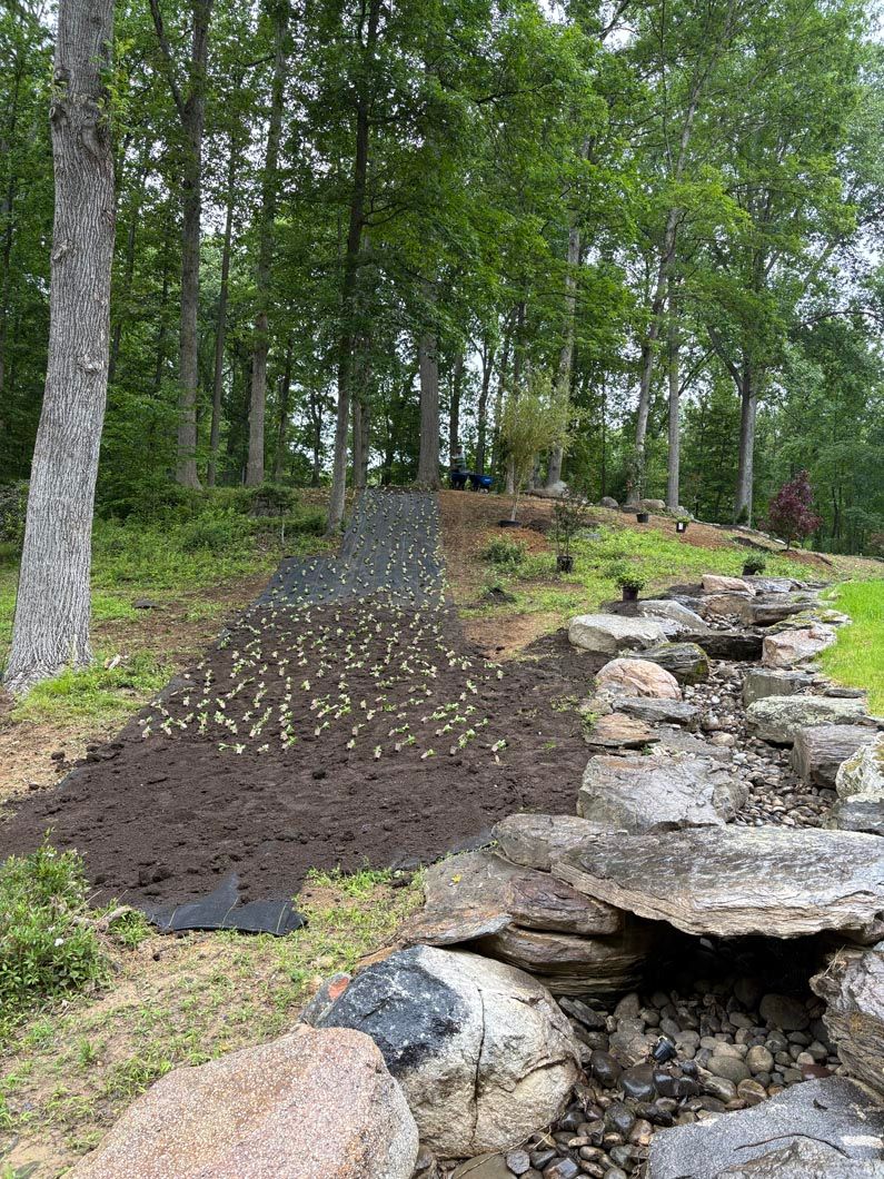 Rocky garden path beside a dark mulch slope in a wooded area