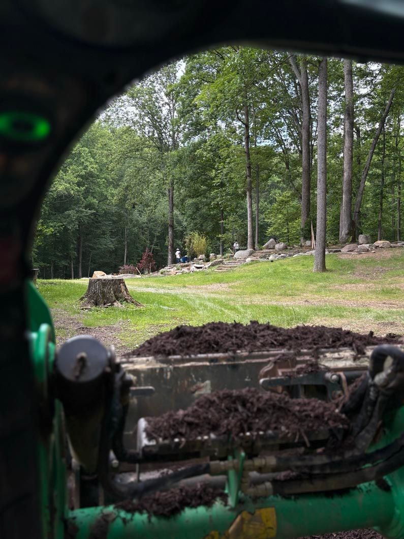 View from inside a green vehicle over muddy ground toward a wooded clearing with stacked logs