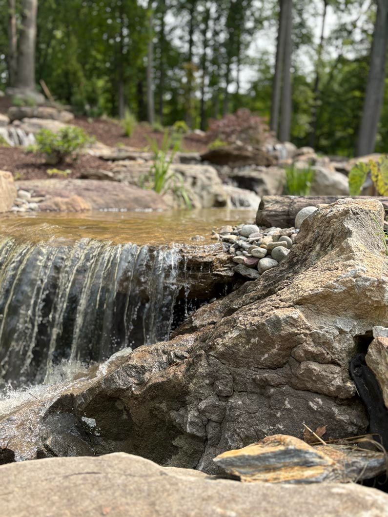Small waterfall cascading over rocks in a forest stream