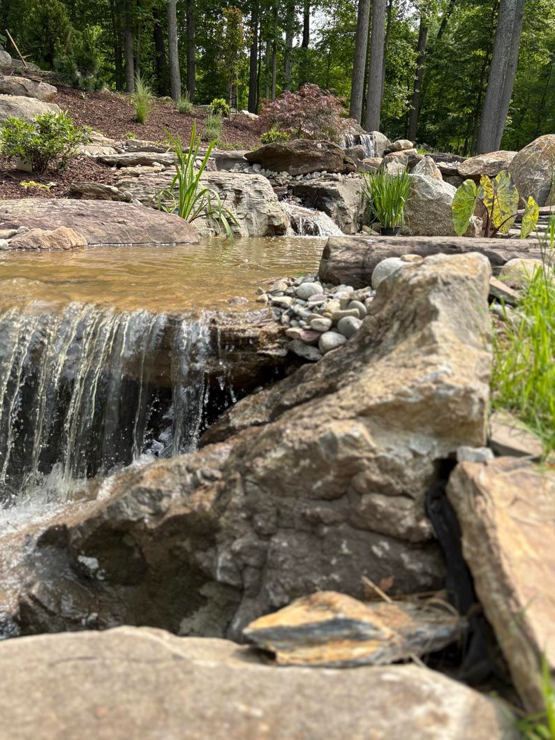 Small waterfall cascading over rocks in a wooded forest stream