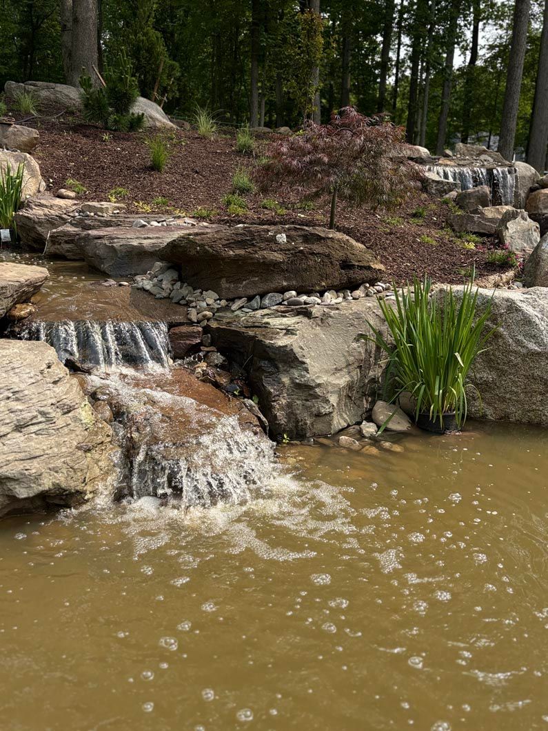 Small waterfall spilling over rocks into a muddy pond in a wooded garden