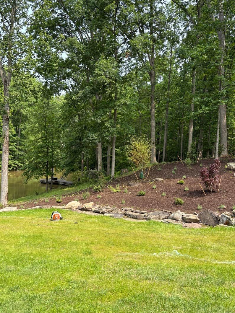 Tree-lined backyard with green lawn, stone border, and a small mulched garden bed.