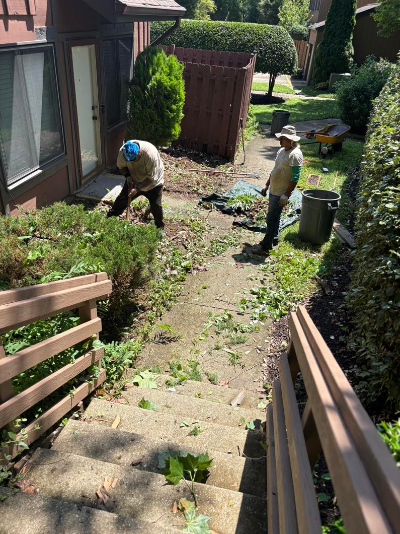Two people working in a narrow garden path beside a house, trimming overgrown plants and weeds.