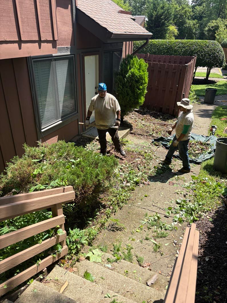 Two workers clearing shrubs beside a brick house and wooden fence in a narrow backyard.