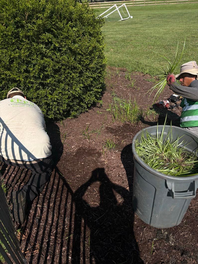Two people gardening beside a bush and a trash can full of plants in a sunny yard