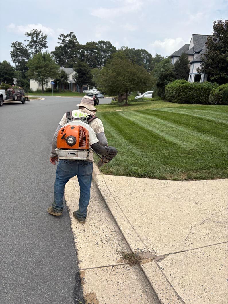 Worker using a leaf blower along a suburban sidewalk and curb, with a trimmed lawn nearby.