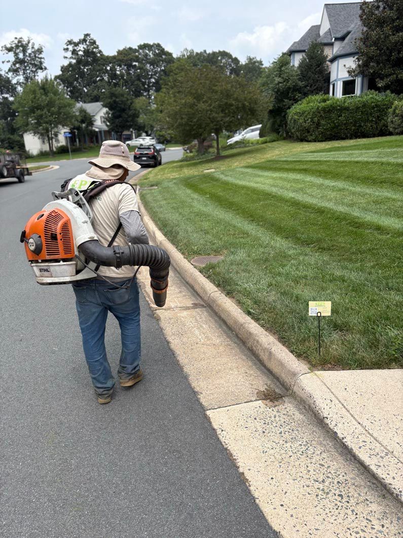 Landscaper using a backpack blower along a curb beside a neatly mowed lawn