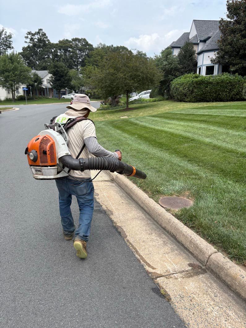 Worker using a leaf blower along a suburban curb on a quiet residential street